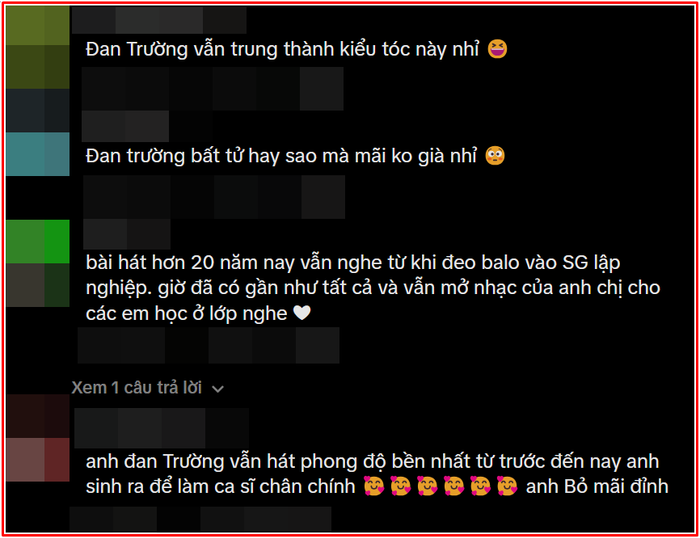 Đan Trường song ca cùng Cẩm Ly, dân mạng: 'Anh giấu cỗ máy thời gian ở đâu?' Ảnh 2