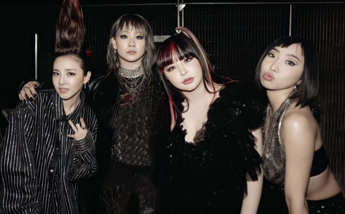 YG làm điều đặc biệt cho 2NE1 sau 7 năm, người hâm mộ xúc động Ảnh 2