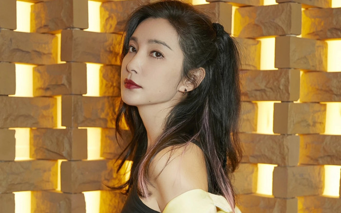 Nữ diễn viên xinh đẹp để tài sản 3.000 tỷ cho cháu ruột, hết muốn cưới chồng sau khi thất tình Ảnh 2