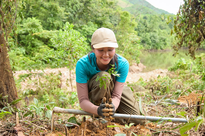 'Trồng rừng' là cụm từ quen thuộc gắn liền với Hoa hậu H'Hen Niê trong hai năm trở lại đây, bởi cô là người trực tiếp đi trồng rừng và lan toả tình yêu rừng đến với cộng đồng. 