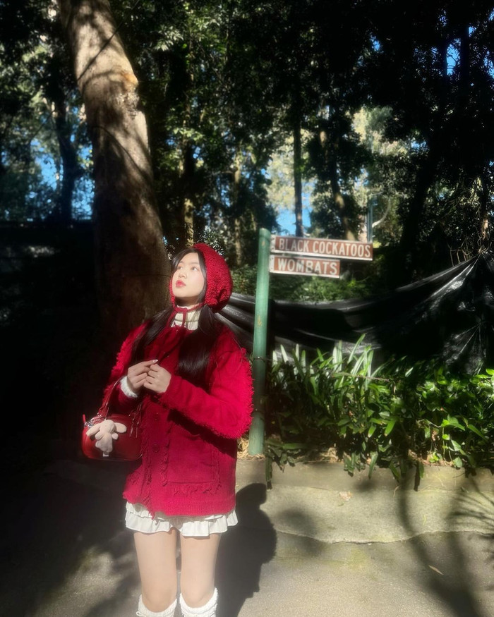 Nhìn vào khung ảnh này, nhiều người nhận xét Lọ Lem như Cô bé quàng khăn đỏ xé sách bước ra.  