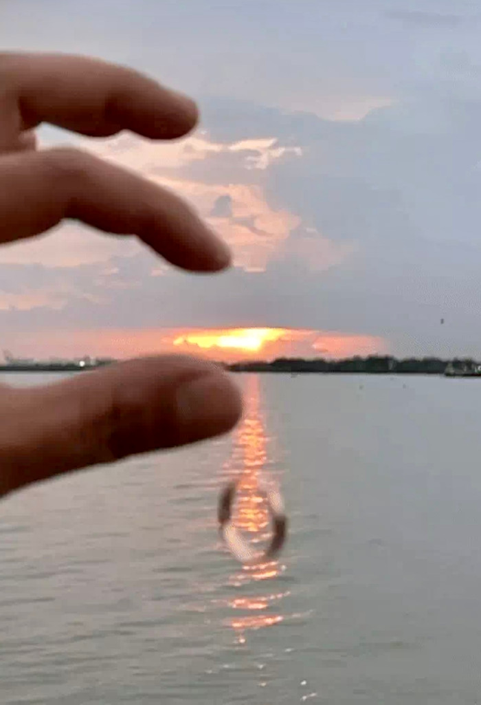 'Vua cá Koi' ném nhẫn cưới sau khi bị Quang Lê 'tố' gia trưởng, kiểm soát nên Hà Thanh Xuân chia tay.