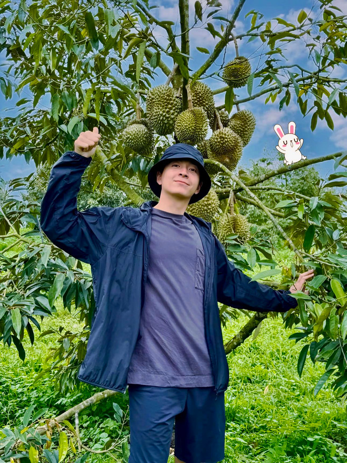 Mảnh đất trồng sầu riêng của Ngô Kiến Huy ở Bảo Lộc, Lâm Đồng. 