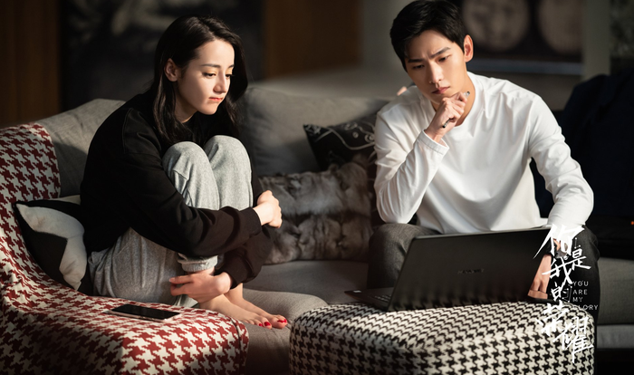 Em Là Niềm Kiêu Hãnh Của Anh tiếp tục là bộ phim 'bình cũ rượu mới' điển hình của làng phim Trung, song lại được đón nhận nồng nhiệt. Nguyên nhân quan trọng xuất phát từ Dương Dương - Địch Lệ Nhiệt Ba, bởi vì chemistry của cặp đôi quá xuất sắc mà sau khi phim chiếu đã có đồn đoán hai ngôi sao xứ Trung phim giả tình thật. 