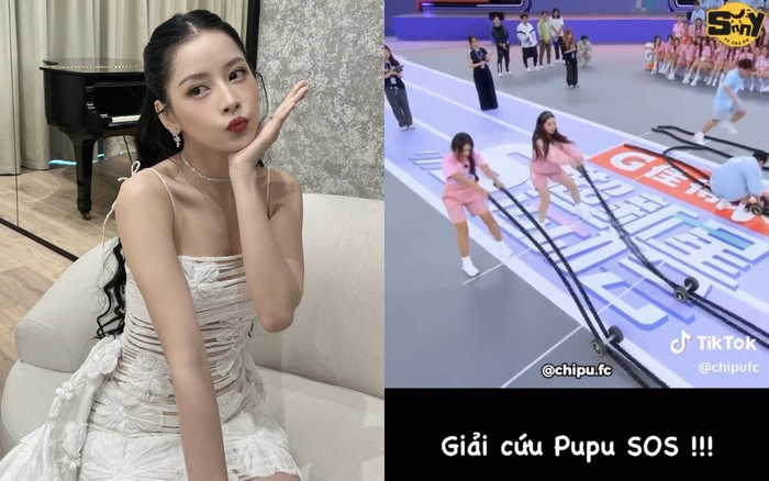 Chi Pu thích thú với sự yêu thương, quan tâm của người hâm mộ. Ảnh: Instagram chipupu