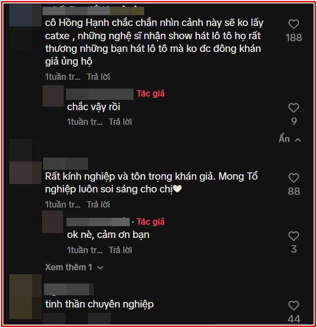 Nữ nghệ sĩ cải lương nổi tiếng một thời, nay hát hội chợ chưa đến chục người xem Ảnh 2