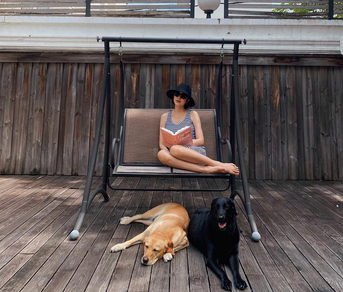 Tăng Thanh Hà dành tình cảm đặc biệt cho 2 chú chó tại nhà, cô từng chia sẻ 2 bé này đã gắn bó với gia đình cả thập kỷ 