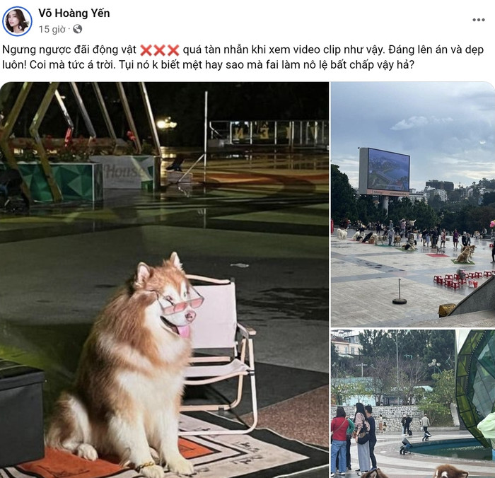 Siêu mẫu Võ Hoàng Yến kêu gọi nên ngưng ngược đãi động vật