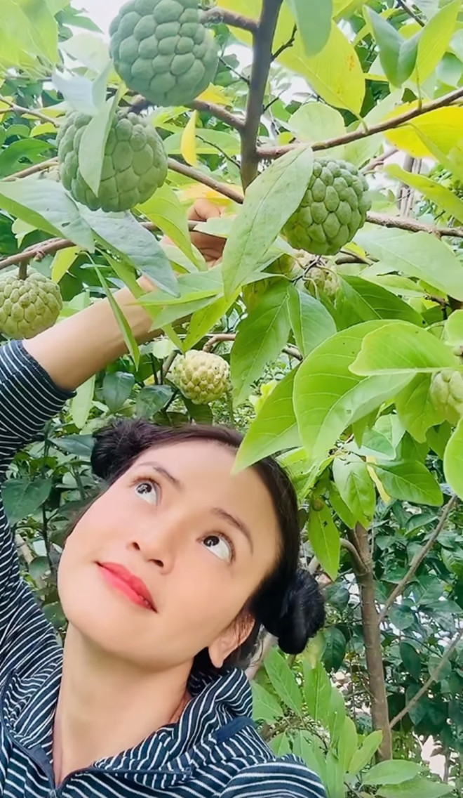 Khoảnh khắc bên cây trái vừa được NSND Phương Thảo chia sẻ.