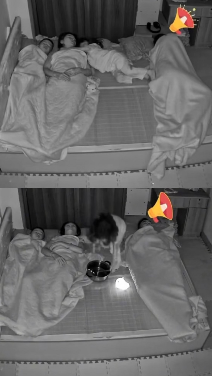 Cộng đồng mạng sau khi xem đoạn clip đã không tiếc lời khen ngợi sự thông minh và hài hước của cô bé. 