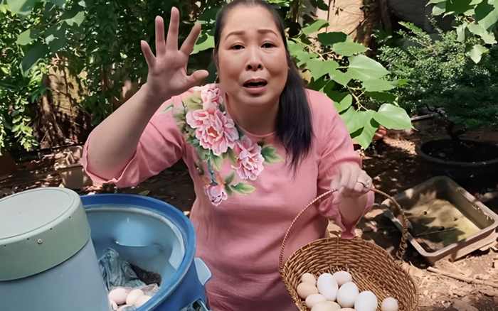 Nữ nghệ sĩ thu hoạch trứng trong vườn nhà.