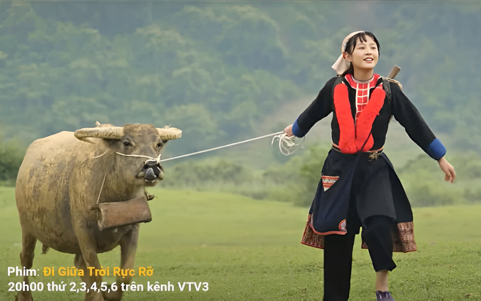 Hình ảnh nữ chính Đi Giữa Trời Rực Rỡ mặc lễ phục đi chăn trâu bị chỉ trích sai lệch văn hóa người Dao đỏ.