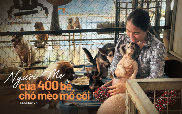 Người mẹ của 400 bé chó mèo mồ côi, tật nguyền ở TPHCM Ảnh 2