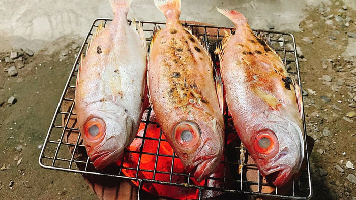 Cá bã trầu nướng than hoa