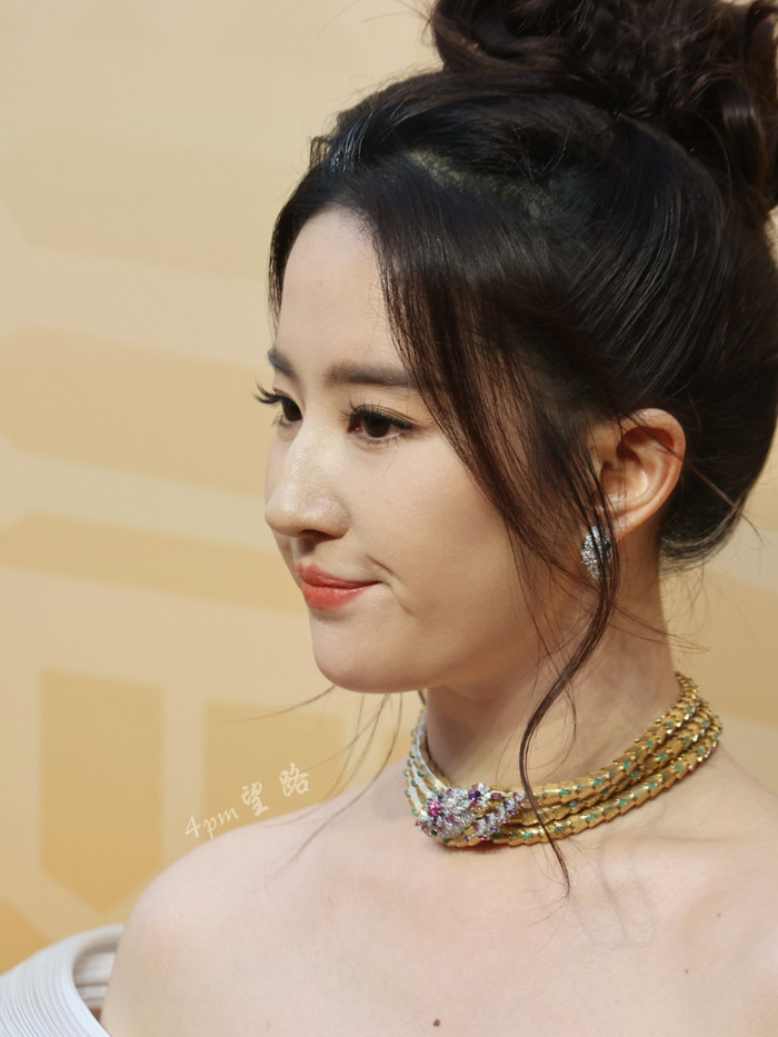 Chuyện chưa kể về chiếc vòng cổ giá 1.000 tỷ của Lưu Diệc Phi Ảnh 4