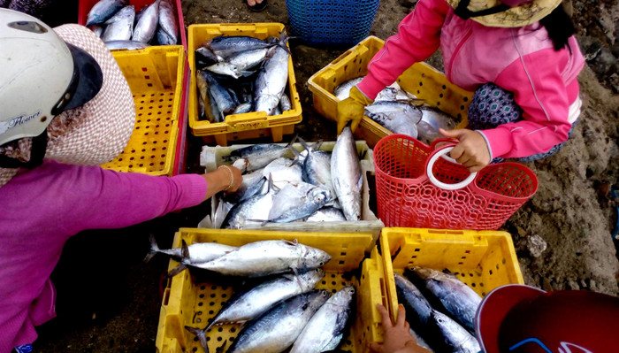 Chợ cá Long Hải với hải sản tươi ngon buổi sớm là trải nghiệm bạn nên thử khi tới với Phú Quý vào dịp lễ 2/9