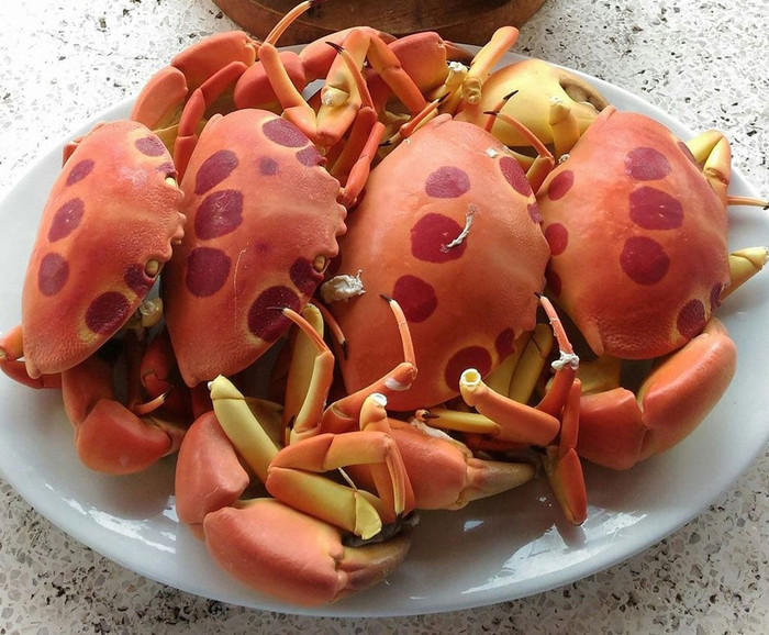 Cua mặt trăng là món bạn không thể nào không thử