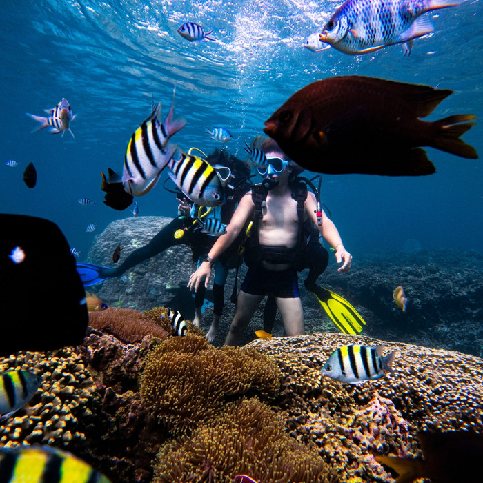 Lặn biển tại Đảo Phú Quý