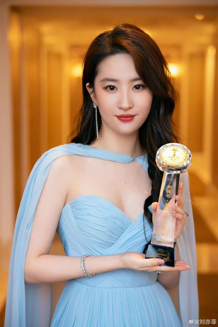 Thực tích điện ảnh của dàn tiểu hoa 85: Triệu Lệ Dĩnh vẫn còn khiêm tốn, Lưu Diệc Phi đang tạm dẫn đầu Ảnh 2