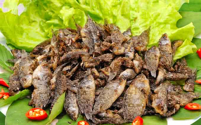 Loại cá xưa đầy ít ai ăn, giờ thành đặc sản được 'săn lùng' nhưng muốn mua không dễ, 100.000 đồng/kg Ảnh 2