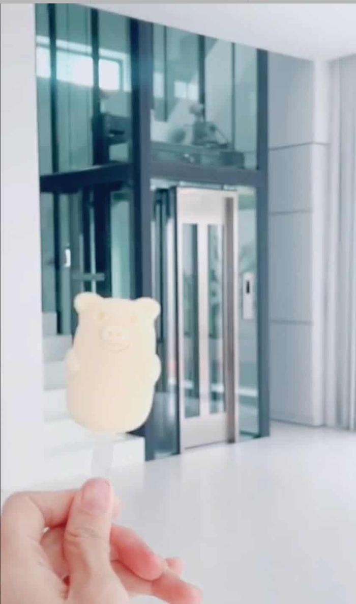 Biệt thự cũng được trang bị thang máy.