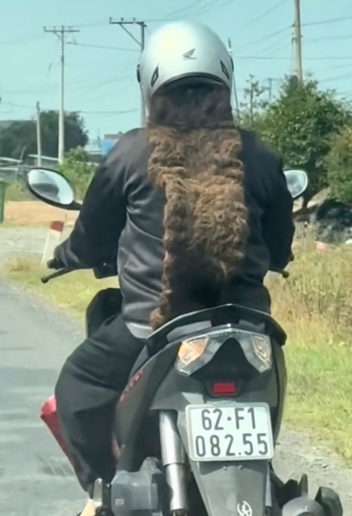 Một số người cho rằng đây là loại tóc đanh - một loại tóc cực kỳ hiếm mà không phải ai cũng có thể sở hữu.