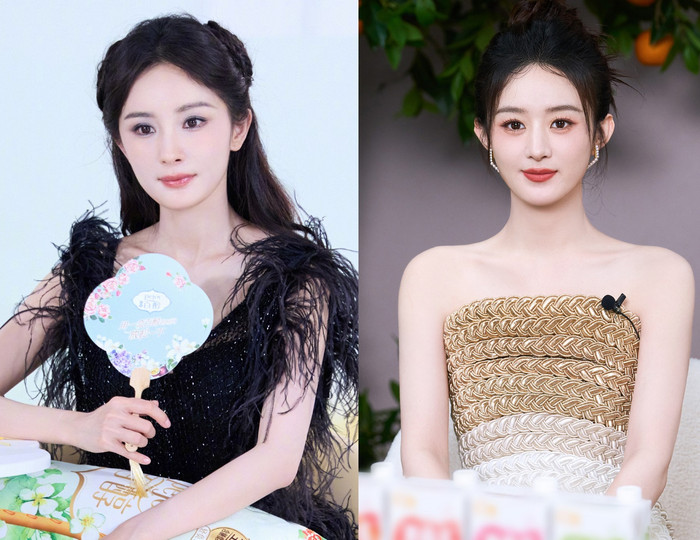Dương Mịch - Triệu Lệ Dĩnh làm mẹ: Người chăm con cẩn thận, kẻ bỏ bê vì bận công việc Ảnh 1