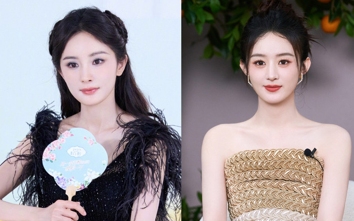 Dương Mịch - Triệu Lệ Dĩnh làm mẹ: Người chăm con cẩn thận, kẻ bỏ bê vì bận công việc Ảnh 2