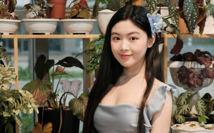 Con gái Quyền Linh bị chê nhan sắc đại trà Ảnh 2