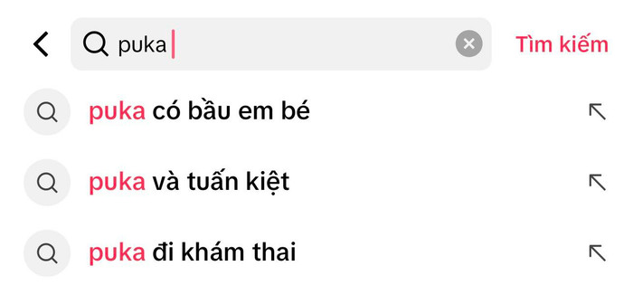 Từ khoá 'Puka đi khám thai' bất ngờ được netizen tìm kiếm giữa nghi vấn cô đã có tin vui sau gần 1 năm kết hôn.