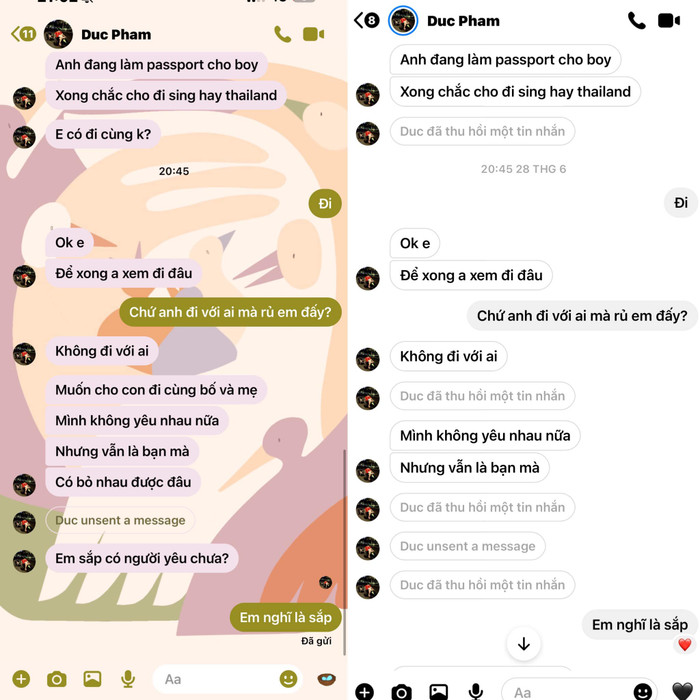 Diệp Lâm Anh tiếp tục đăng tải đoạn tin nhắn được chồng cũ rủ đi du lịch cùng các con. Ảnh: FBNV