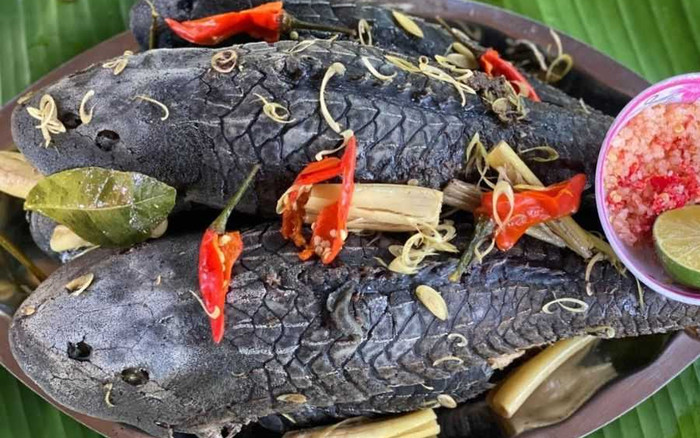 Loại cá 'xấu đau xấu đớn' lại ngon hơn thịt gà, không phải ai cũng được thưởng thức Ảnh 2