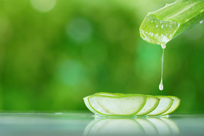 Nha đam nếu không được sơ chế kỹ sẽ có tình trạng nhớt và đắng.