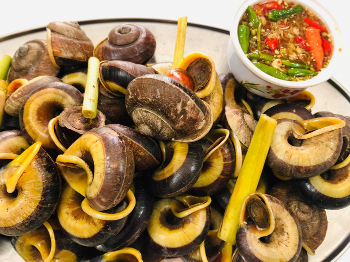 Ốc xu là loài khó săn, số lượng ít nên giá thành rất cao