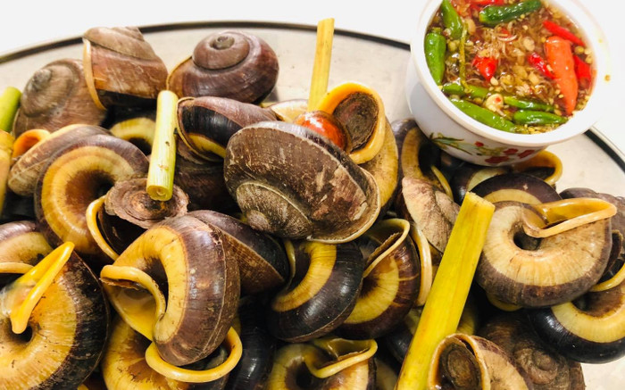 'Lộc trời' xuất hiện sau mưa, là đặc sản đắt xắt ra miếng nhưng nhiều người ráo riết tìm mua Ảnh 2