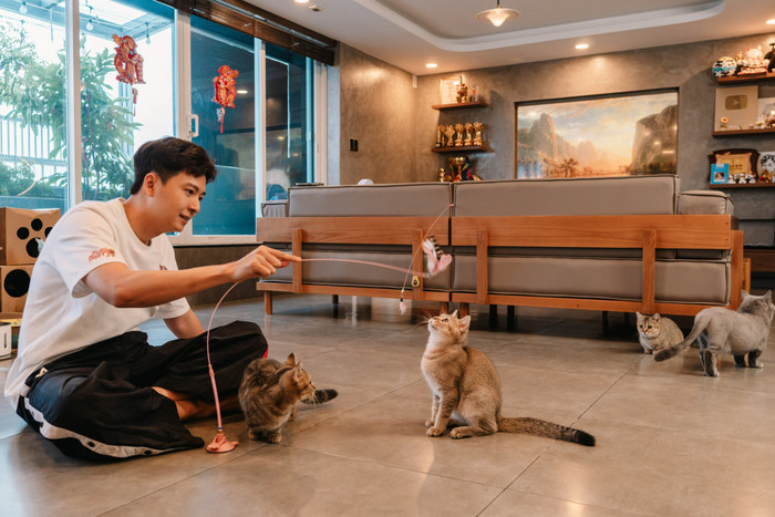 Ngoài ra nam ca sĩ còn dành riêng một khu vực cho thú cưng thoải mái vui chơi. Ngô Kiến Huy dùng nhiều cửa kính để tận dụng ánh sáng tự nhiên nên màu tường phải là màu xám. 