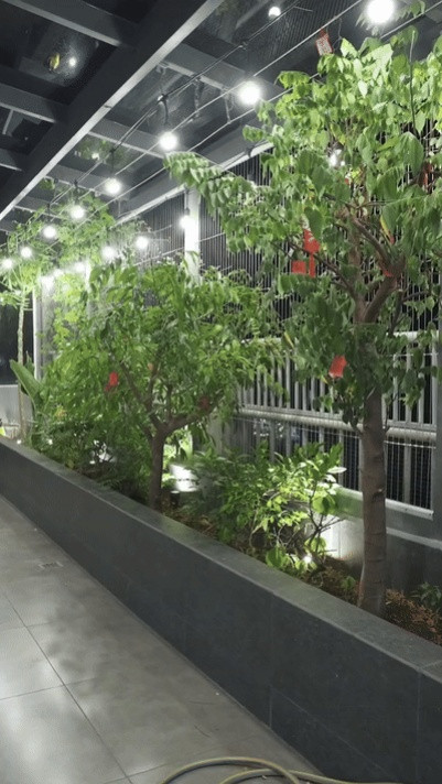 Riêng khuôn viên bên ngoài căn penhouse, Ngô Kiến Huy đầu tư trồng khá. Vườn cây của Ngô Kiến Huy chủ yếu trồng các cây có thể ăn được như khổ qua, ớt, rau thơm, dâu tằm... Ngoài ra, để ngồi thư giãn vào mỗi sáng, nam ca sĩ cũng bày trí một hồ cá cảnh và khu vực bàn trà.