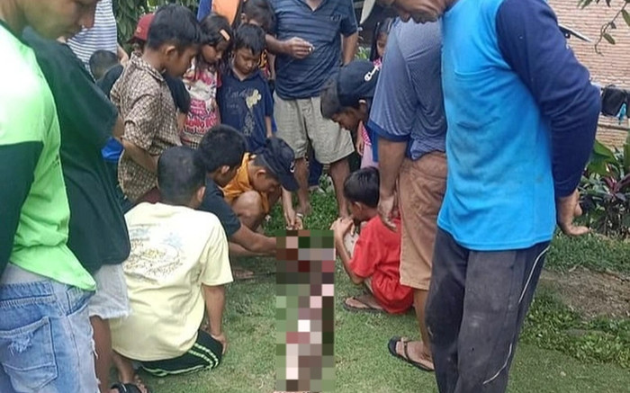 Cụ bà 74 tuổi bị con trăn dài 4m nuốt chửng Ảnh 2