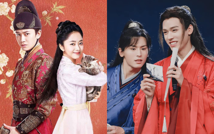 Nhiều bộ phim Hoa ngữ dù có kinh phí thấp nhưng lợi nhuận sau phát sóng lại vượt mặt nhiều siêu phẩm được đầu tư khủng. Cặp đôi Sơn Hà Lệnh và Đàm Tùng Vận đều có phim góp mặt trong danh sách này. 