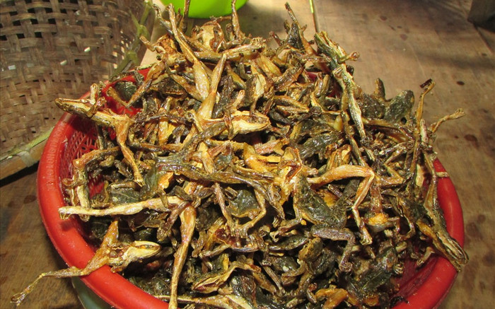 Đặc sản Huế 'sởn gai ốc' xưa có đầy ít ai biết, giờ được khách du lịch ưa chuộng, 70.000 đồng/kg Ảnh 2