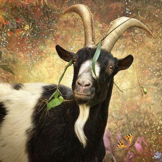 3 con giáp đi ngược vận xui cô hồn, cả tháng 7 Âm phúc đức dồi dào, nhận lộc trời trao Ảnh 2