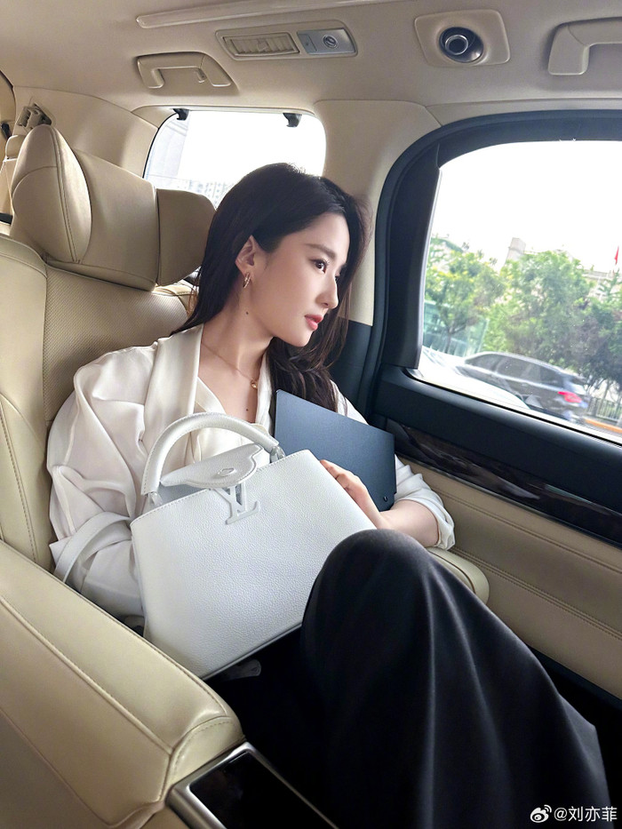 Ở tuổi 36, Lưu Diệc Phi viên mãn trong công việc, chưa công khai người yêu mới.