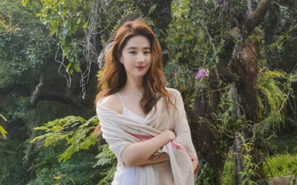 Ảnh nhà 3 người Lưu Diệc Phi gây sốt mxh: Ông xã cực điển trai, con gái như bản sao nhí của mẹ Ảnh 2