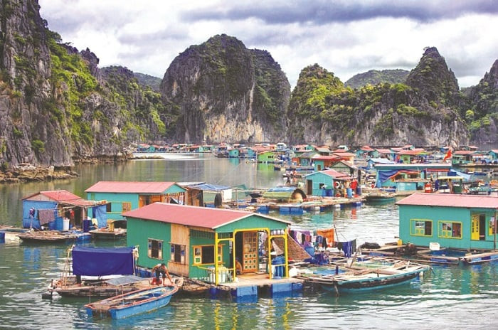 Cuộc sống của người dân gắn liền với chiếc bè chủ yếu được làm bằng gỗ và tre lênh đênh trên sông. Có những gia đình khá giả hơn, chiếc bè được lợp mái tôn chắc chắn hơn. Vì thế, nhìn xa xa, bạn sẽ thấy được một bức tranh nhiều màu sắc xanh, đỏ, vàng cứ nhấp nhô theo làn nước.
