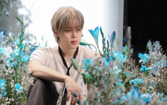 Album mới của Jimin khiến người hâm mộ thất vọng Ảnh 2