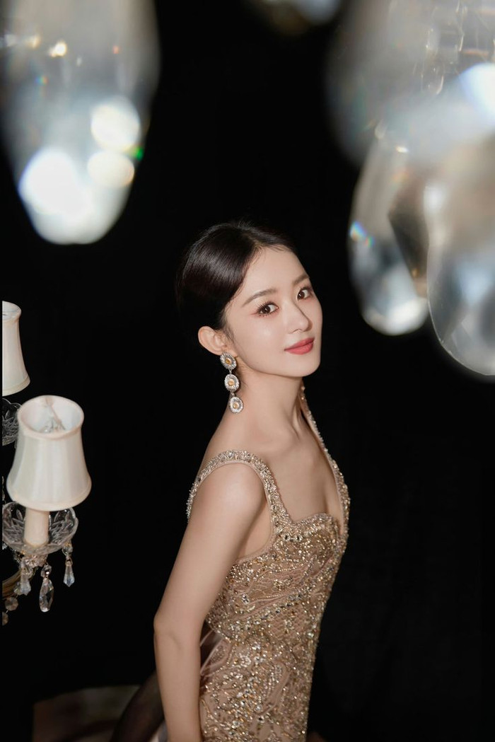 Triệu Lệ Dĩnh bị nghi mua giải thưởng Bách Hoa, dùng chiêu trò để đánh bóng tên tuổi Ảnh 2