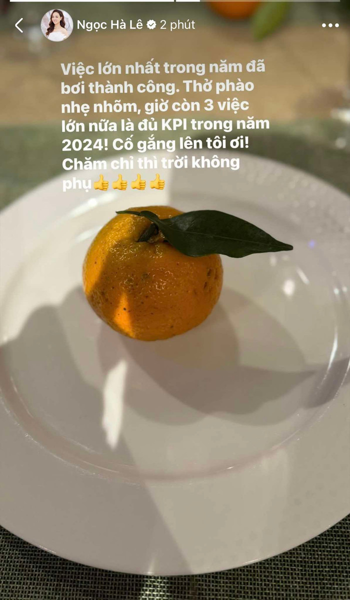 Bà xã NSND Công Lý hạnh phúc, vui mừng báo tin đã hoàn thành được 1 trong 4 mục tiêu đề ra của năm 2024. 