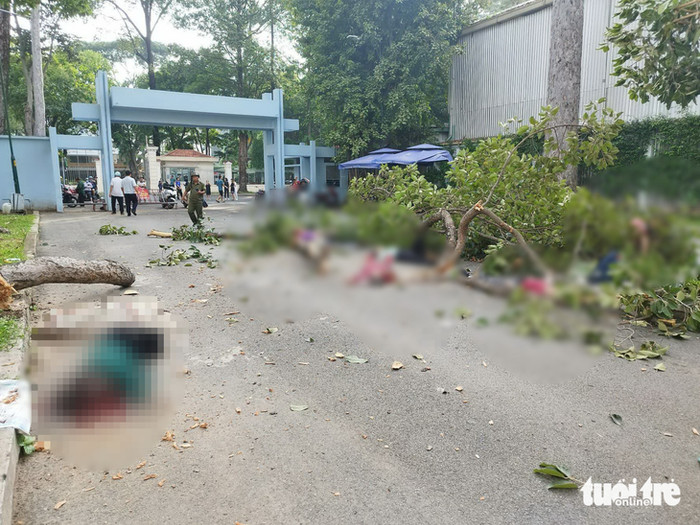 Hiện trường vụ việc