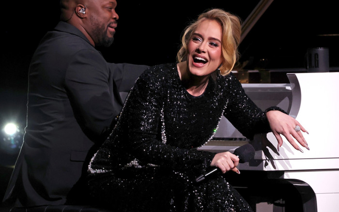 Adele phản đối nhân viên an ninh để bảo vệ khán giả Ảnh 2