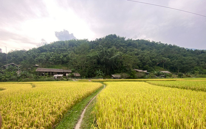 Người đàn ông nghèo đổi đời sau khi nhặt được 'báu vật' ngoài ruộng Ảnh 2